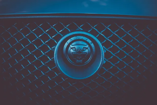 Cleopatra Casino Android/iOS App